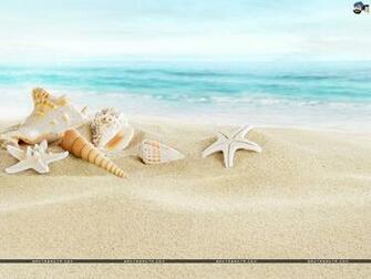 Seashells Wallpaper