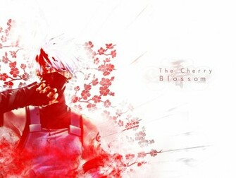 Cherry Blossom Wallpaper Anime Background