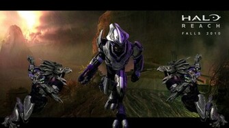 Halo Elite Wallpaper Reach By