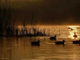 Ducks Unlimited