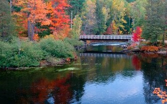 Fall Wallpaper