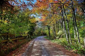 Autumn Trees Country Road Fence Forest Trails Nature Pictures