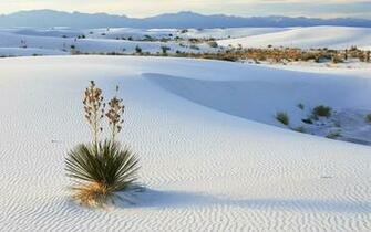 White Sands Wallpaper And Image Pictures Photos