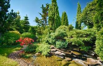 Wallpaper Park Bushes Trees Rocks Water Flowers Sunny