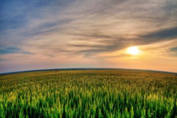 Sunset Sky Green Field Background PhotoHDx