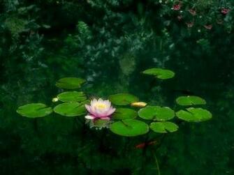 Beautiful Water Scenes Wallpaper