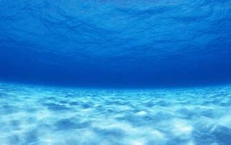 Back Paper Original Beach Wallpaper Underwater