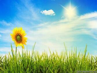 Wallpaper Wonderful Summer Scenes