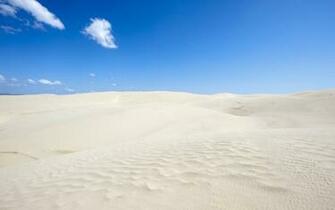 Desert HD Wallpaper Background Image Id