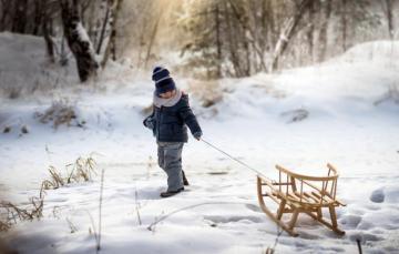 Wallpaper Winter Boy Sled Image For Desktop Section