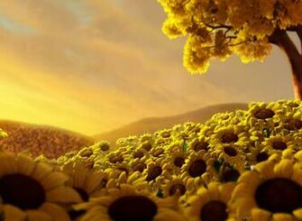 Sunflower Wallpaper Screensaver Pre Id