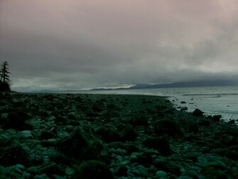 Pacific Northwest Beach Wallpaper