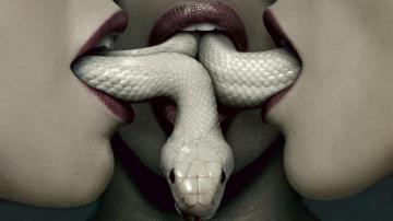 American Horror Story Coven HD Wallpaper Background Image