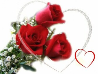 Lovely Red Rose Flower Wallpaper Guitar