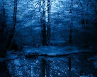 Winter Woodland Wallpaper HD