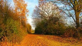 Autumn Wild Mac Wallpaper Colors