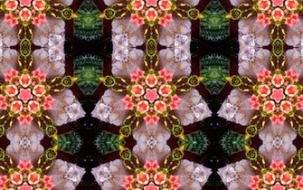 Kaleidoscope HD Wallpaper Color Palette Tags Category