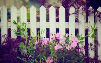 Flower Garden Wallpaper Desktop Floral