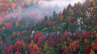 Autumn Canyon Wallpaper West Blackwater