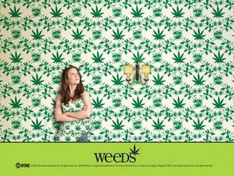 Weeds Wallpaper