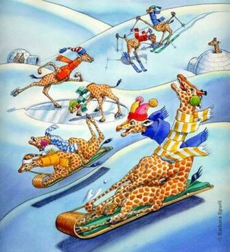 Giraffe Giraffes Animals Postcards
