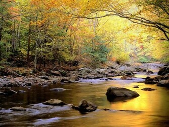 Unique Wallpaper Most Exotic River HD Part