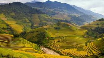 Vietnam Wallpaper Best