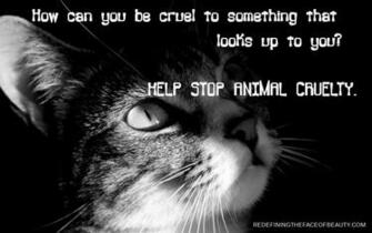 Animal Abuse Image Celeb Wallpaper Of Celebrities