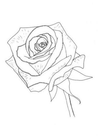 Day Coloring S Pictures Desktop Background Wallpaper