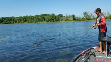 Kvd S Season Bass Guide Bassmaster