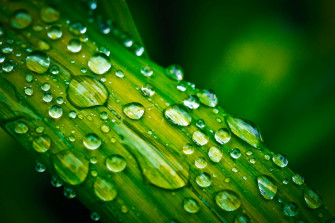 Clean Close Up Drop Of Water Droplet Liquid Macro Ripple Wallpaper