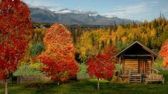 Log Cabin In A Beautiful Autumn Forest High Quality And