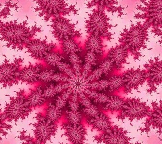 Hot Pink Starburst Fractal