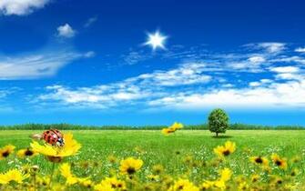 Beautiful Summer Background