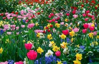 Desktop Fun Dreams Of Spring Wallpaper Collection
