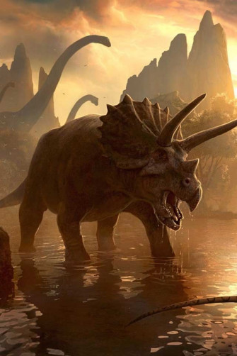 Triceratops Ancient Animals Dinosaur Jurassic World Wallpaper