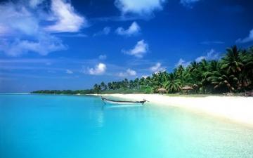 Hesvit On Beach Background Wallpaper Beautiful
