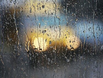 Rainy Window In The Car
