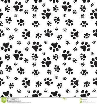 Dog Paws Wallpaper On