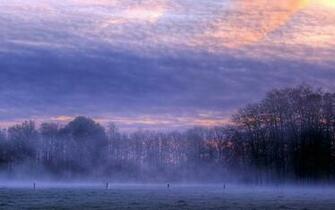 Fog Wallpaper Early Morningfog Desktop Morning
