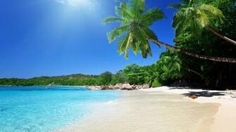 Palm Beach Florida Wallpaper Pictures And Image