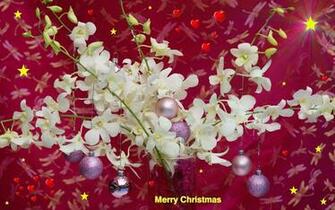 Widescreen Christmas Wallpaper Merry Orchids