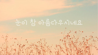 Korean Aesthetic Desktop Wallpaper