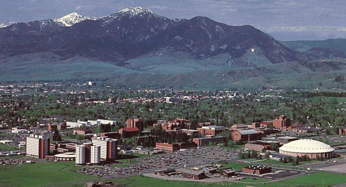Msu Montana