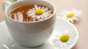Flower And Tea Wallpaper HD Flowers
