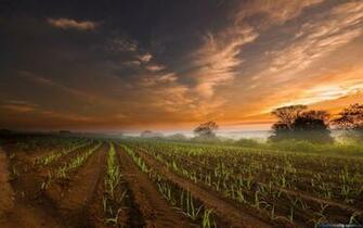 Wallpaper Details File Name Farm For Desktop Uploaded By Akt
