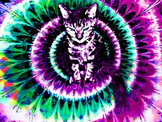 Trippy Wallpaper In HD