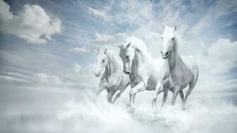 White Horses HD Wallpaper For Desktop