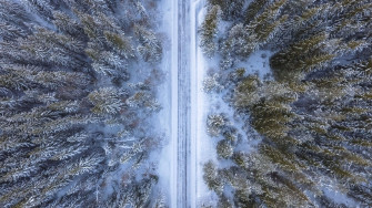 Winter Forest Nature Scenery Aerial HD 4k Wallpaper