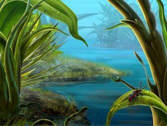 Exotic Beetle Desktop Wallpaper High Quality